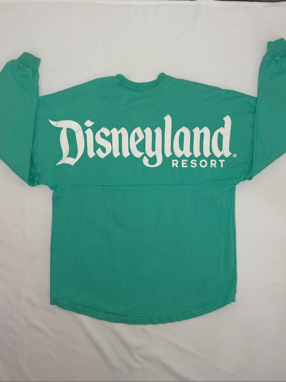Disney Disneyland Resort Long Sleeve Sweatshirt - Teal & White